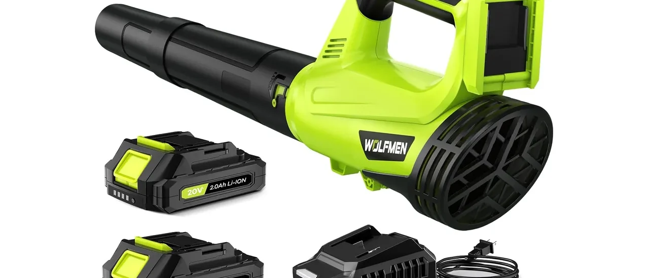 Leaf Blower, Electric Leaf Blower Cordless with 2 Batteries and Charger, 2 Speed Mode, Lightweight Cordless Leaf Blowers for Lawn Care, Blowing Leaves, Patio Cleaning and Dust, Green
