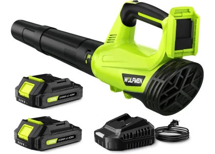Leaf Blower, Electric Leaf Blower Cordless with 2 Batteries and Charger, 2 Speed Mode, Lightweight Cordless Leaf Blowers for Lawn Care, Blowing Leaves, Patio Cleaning and Dust, Green