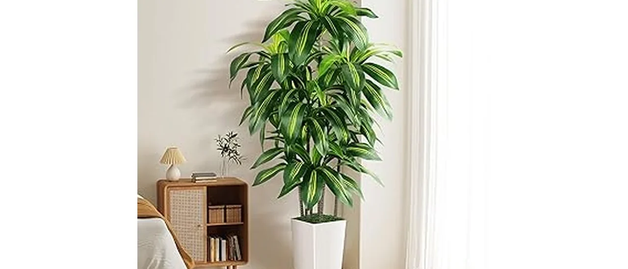 Best 10 Calming Plants for Bedroom