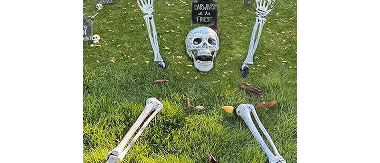 The image shows various spooky Halloween skeleton lawn stakes ideal for yard decorations.