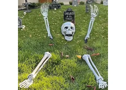 The image shows various spooky Halloween skeleton lawn stakes ideal for yard decorations.