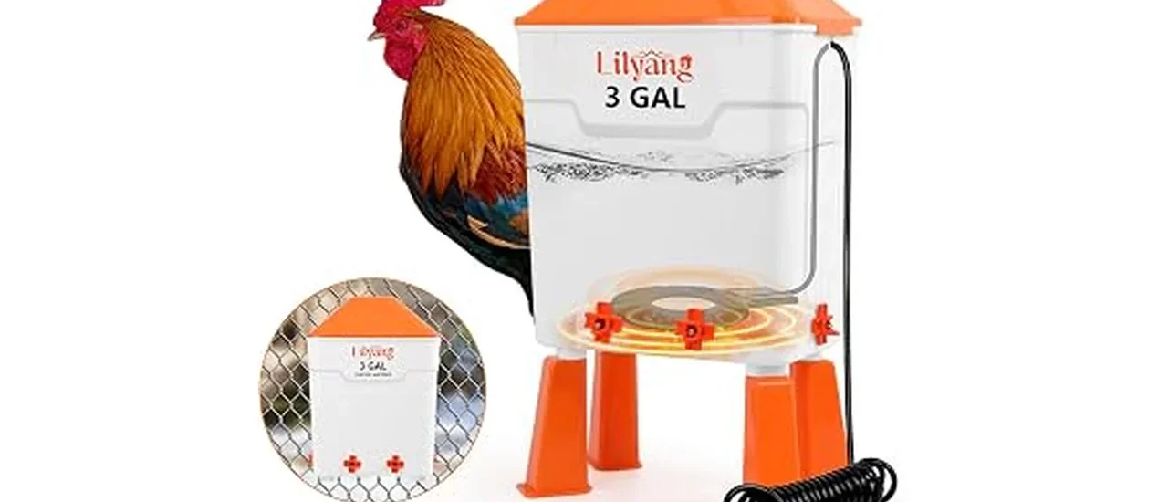 The image shows a robust, heavy-duty heated chicken waterer, ideal for cold weather.