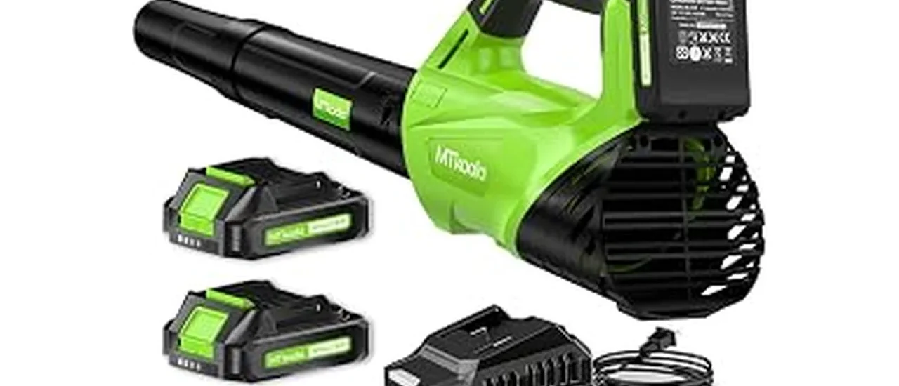 Best 10 Leaf Blowers