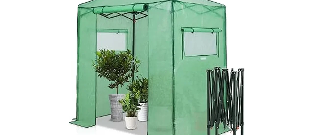 Best 10 Small Greenhouse