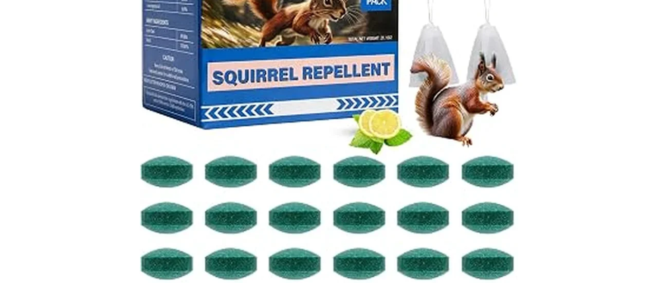 Best 10 Squirrel Deterrents for Gardens