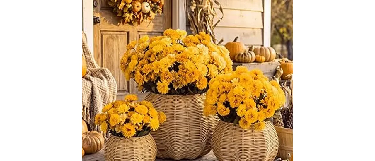 The image shows a beautifully decorated front porch featuring a selection of the best selling fall planters.