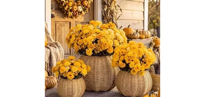 The image shows a beautifully decorated front porch featuring a selection of the best selling fall planters.