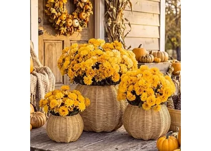 The image shows a beautifully decorated front porch featuring a selection of the best selling fall planters.