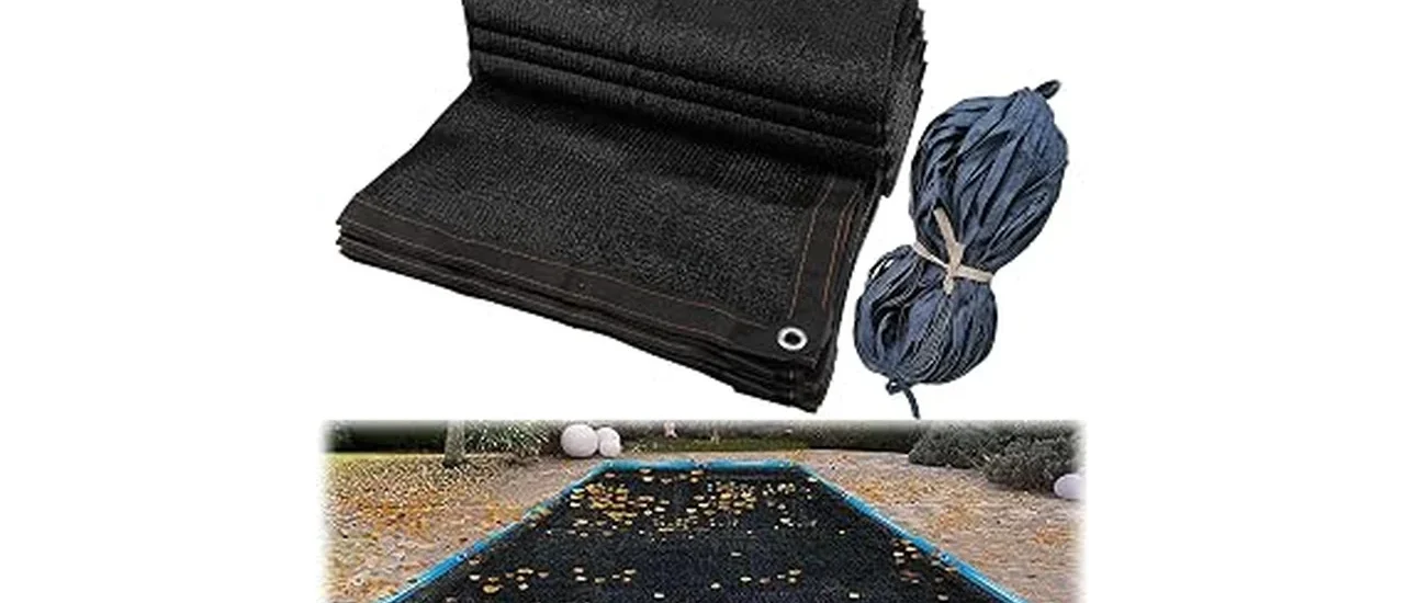 Most Popular 10 Ground Cover for Shade