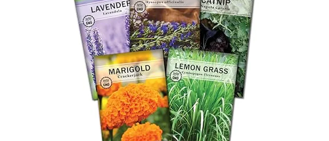 Most Popular 10 Plants That Repel Mosquitoes