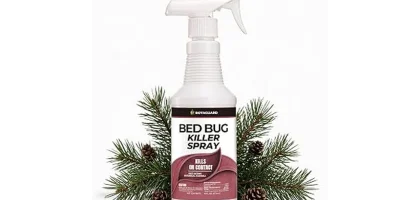 Most Popular 9 Bed Bug Spray