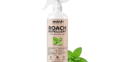 The image shows a selection of professional bed roach sprays, highlighting popular choices.