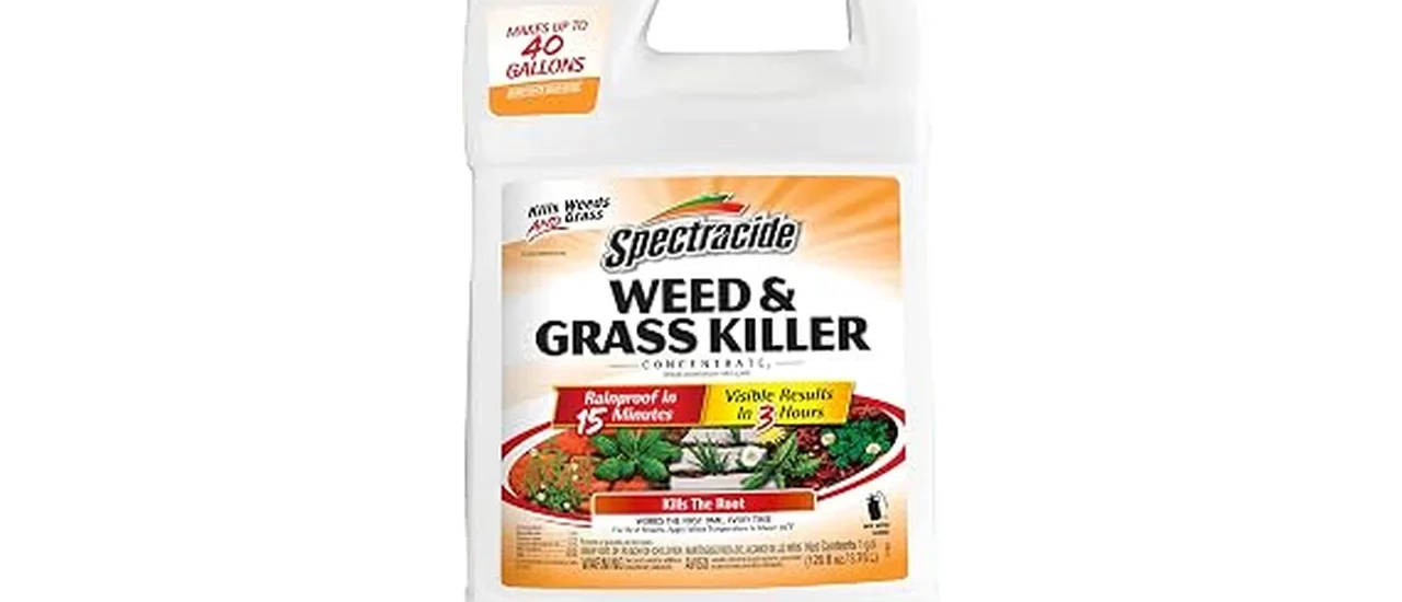 Top 10 Broadleaf Weed Control