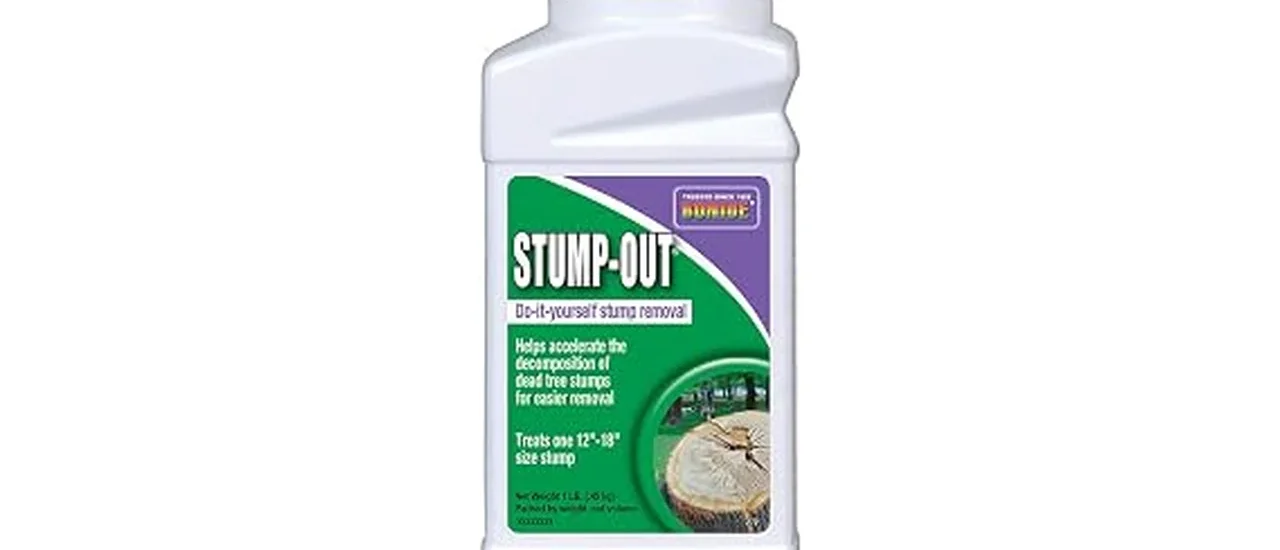Top 10 Stump Remover