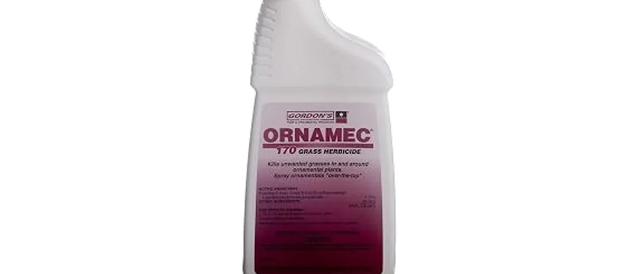 Top Rated 10 Ornamec Bermuda Grass Killer