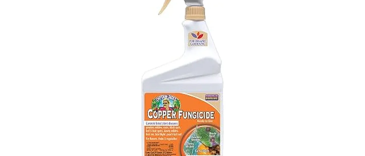 Top Rated 10 Signum Fungicide