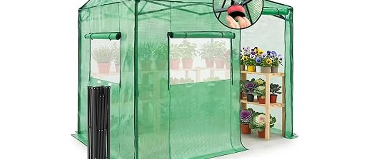 Top Rated 10 Small Green Houses