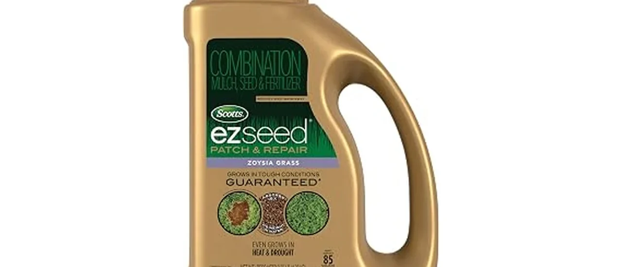 Top Rated 10 Zoysia Grass