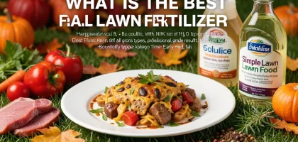 What Is The Best Fall Lawn Fertilizer For Healthy Grass