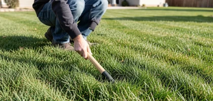 When to Apply Winterizer Fertilizer in Kansas