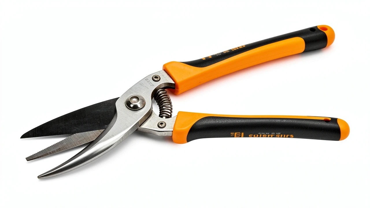 Pruning Shears and Loppers